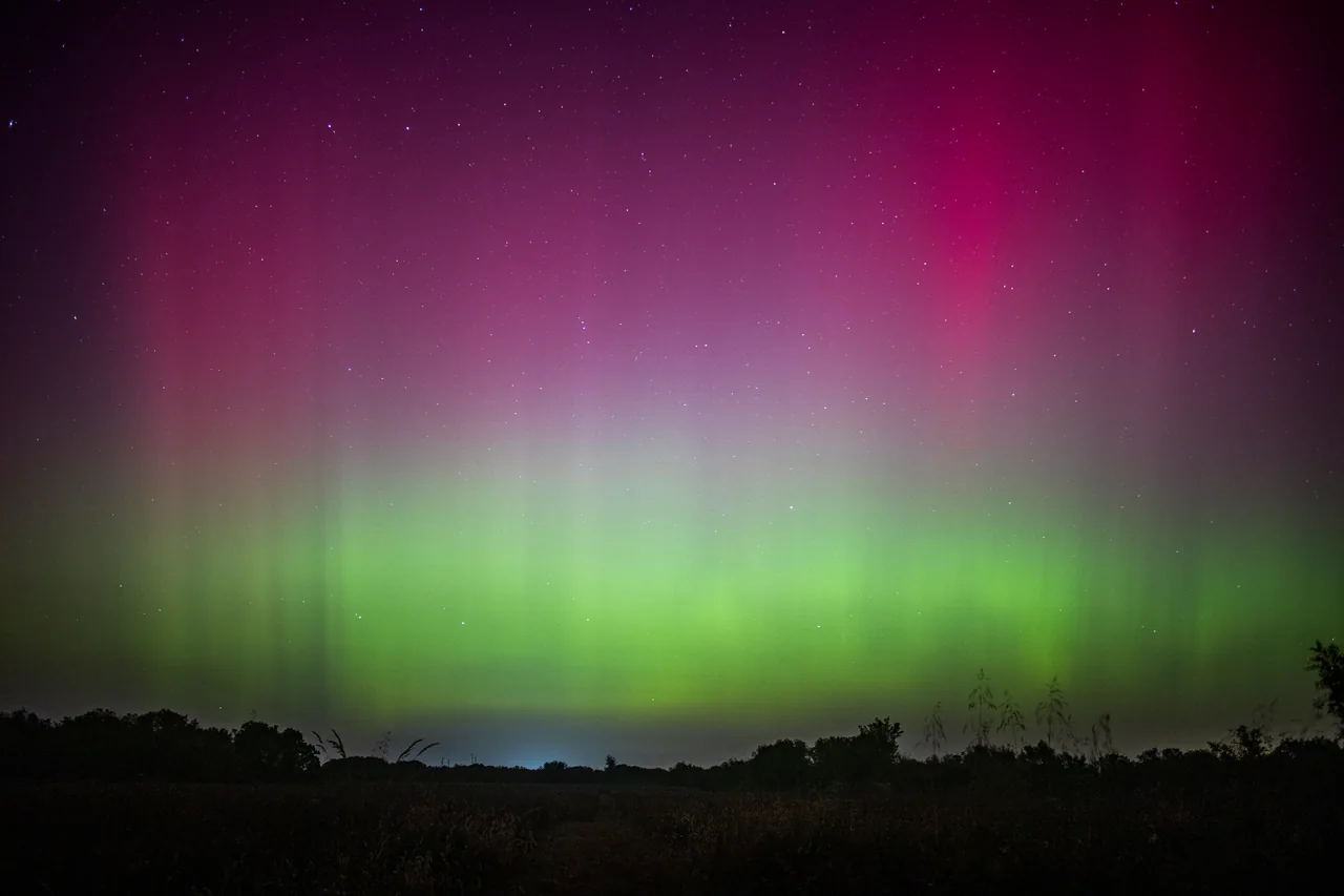Green and magenta aurora curtains glow above a dark treeline.