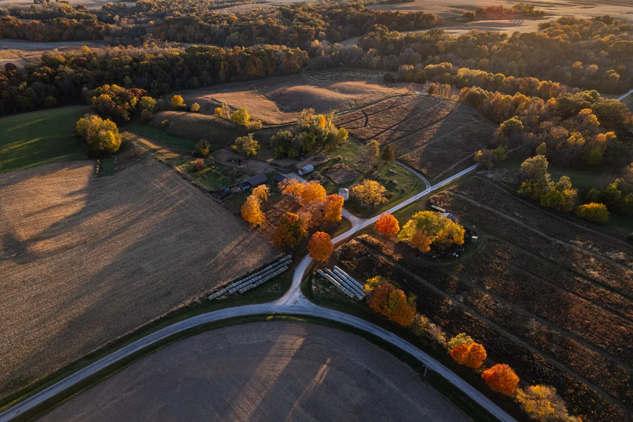 An aerial view of an autumn farm, winding roads, and trees in warm evening light.